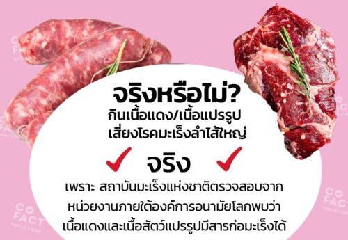 จริงหรือไม่? กินเนื้อแดง/เนื้อแปรรูป เสี่ยงโรคมะเร็งลำไส้ใหญ่