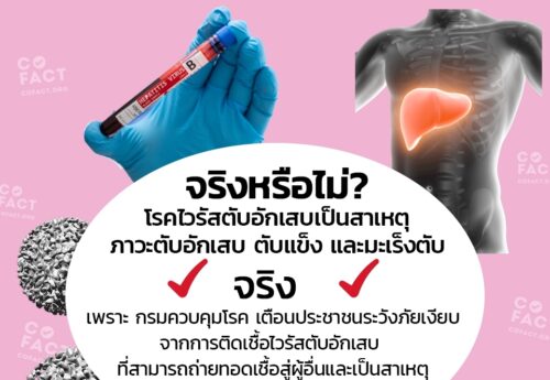 จริงหรือไม่? โรคไวรัสตับอักเสบเป็นสาเหตุภาวะตับอักเสบ ตับแข็ง และมะเร็งตับ