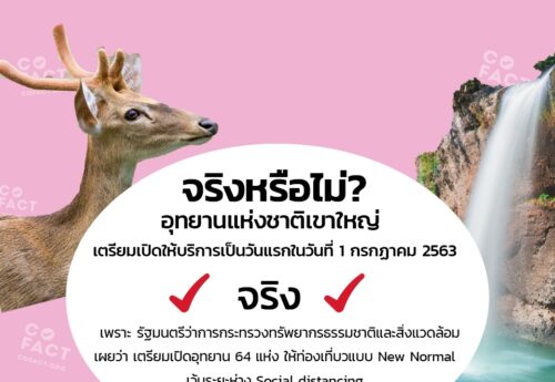 จริงหรือไม่? อุทยานแห่งชาติเขาใหญ่ เตรียมเปิดให้บริการเป็นวันแรกในวันที่ 1 กรกฎาคม 2563