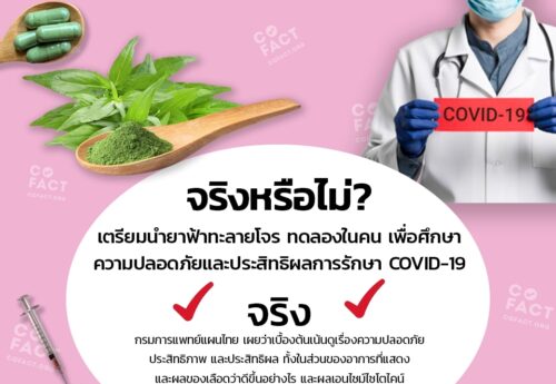 จริงหรือไม่? เตรียมนำยาฟ้าทะลายโจร ทดลองในคน เพื่อศึกษาความปลอดภัยและประสิทธิผลการรักษา COVID-19