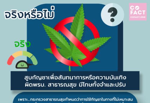 จริงหรือไม่.? กัญชาหากสูบเพื่อความสันทนาการหรือความบันเทิง ผิดพรบ. สาธารณสุข มีโทษทั้งจำและปรับ