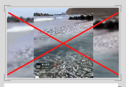 น้ำที่ปล่อยจากโรงไฟฟ้านิวเคลียร์ฟุกุชิมะทำปลาตายเต็มหาด ?