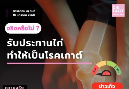 รับประทานไก่เป็นเกาต์ จริงหรือ     