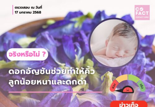 ดอกอัญชันช่วยทำให้คิ้วลูกน้อยหนาและดกดำได้จริงหรือ