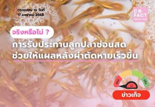 การรับประทานลูกปลาช่อนสดช่วยให้แผลหลังผ่าตัดหายเร็วขึ้นจริงหรือไม่? 