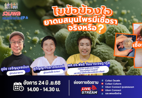 ผู้เชี่ยวชาญไขข้อข้องใจ “ยาดมสมุนไพร” เสี่ยงเชื้อราจริงหรือ?
