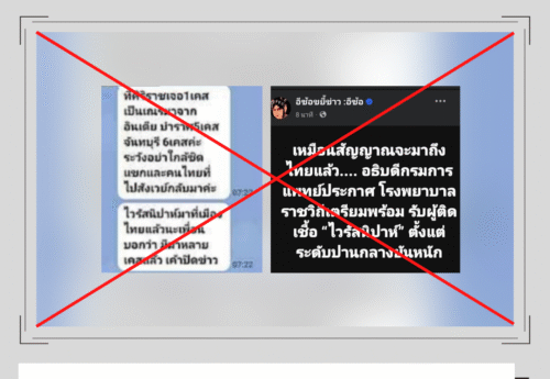 กรมการแพทย์-กรมควบคุมโรคยืนยัน ยังไม่พบผู้ติดเชื้อไวรัสนิปาห์ในไทย