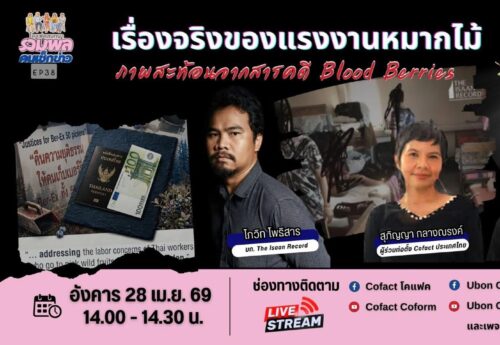 แฉกลลวง “ค้ามนุษย์” แรงงานอีสานเก็บเบอร์รี่ฟินแลนด์-สวีเดน ทำงาน 18 ชม. สุดท้ายหนี้ท่วม-รัฐนิ่งเฉย