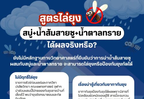 สูตรน้ำยาไล่ยุง “สบู่ + น้ำส้มสายชู + น้ำตาลทราย” ได้ผลจริงหรือ ?