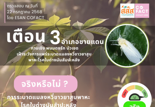 จริงหรือไม่? แมลงหวี่ขาวยาสูบระบาดใน 3 อำเภอของจังหวัดสุรินทร์